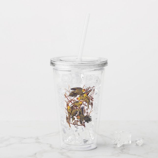 Verre En Acrylique L'art Vintage d'Audubon en Caroline (Dos glace)
