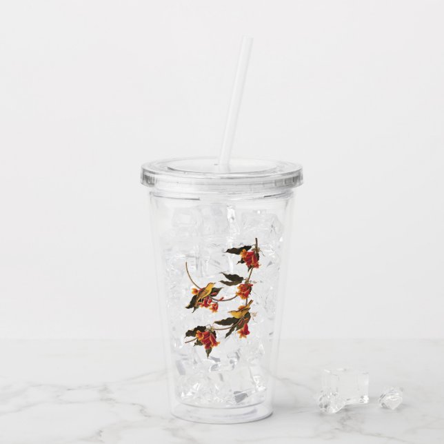 Verre En Acrylique Oiseau de la Paruline de Rathbone sur crossvine (Dos glace)