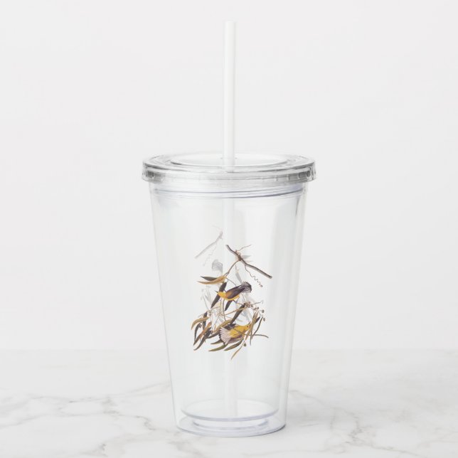 Verre En Acrylique Paire ornithologique jaune d'Audubon (Devant)