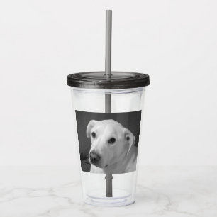 Verre En Acrylique Photo en noir et blanc d'un beau chien à l'âne