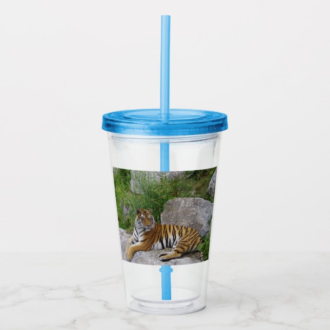 Verre En Acrylique Portrait photo d'un tigre de Sibérie (Devant)