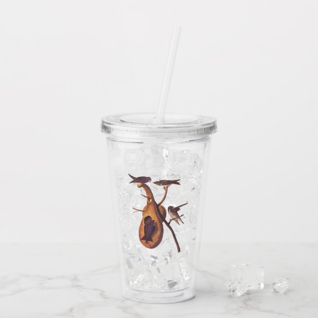 Verre En Acrylique Purple Martin Audubon Bird Famille et Gourd Accuei (Dos glace)