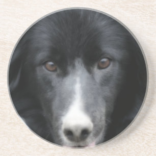 Verre En Grès Entent Bordure Collie Visage Chien Dessous de verr