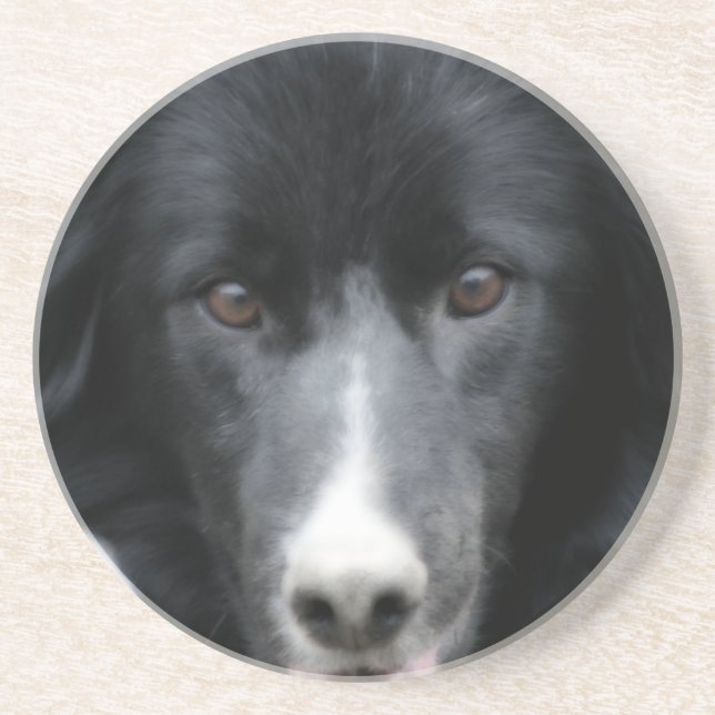 Verre En Grès Entent Bordure Collie Visage Chien Dessous de verr (Devant)