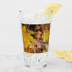 Verre Fallen Maple Feuille Jaune Automne Nature