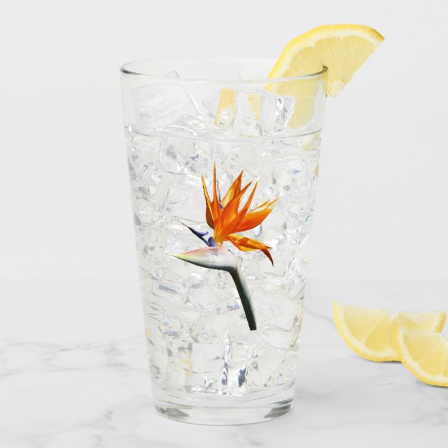 Verre Flower tropical orange paradise (Dos glace)