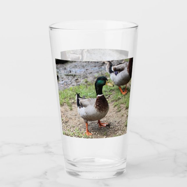 Verre M. Duck (Devant)