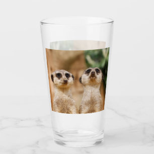 Verre Meerkat 017