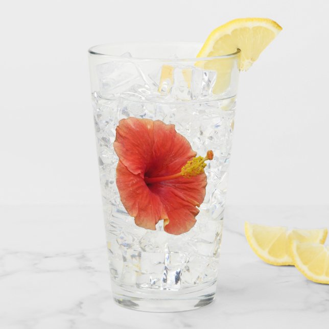 Verre Orange Hibiscus Fleur Tropical Floral (Dos glace)