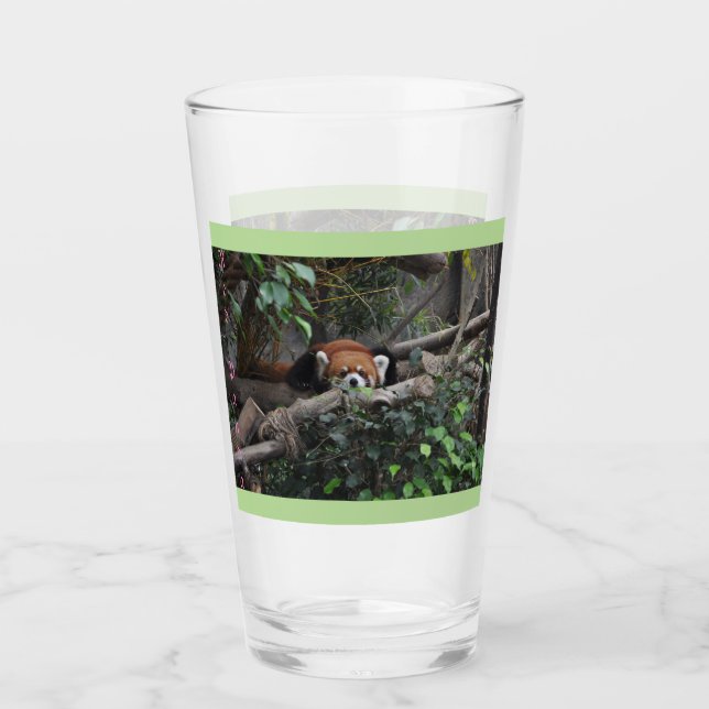 Verre Panda rouge mignon (Devant)