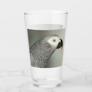Verre Perroquet gris d'Afrique