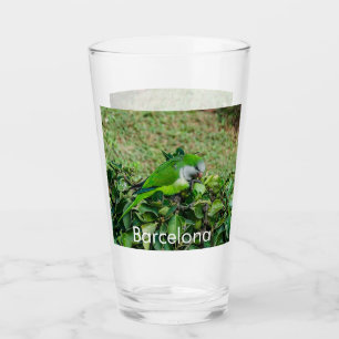 Verre Perroquet vert