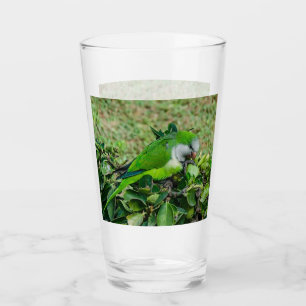 Verre Perroquet vert
