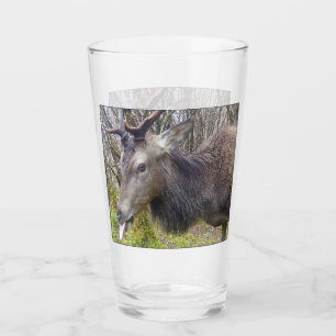 Verre Personnalisable Drôle Rigolo Enterrement de Vie de