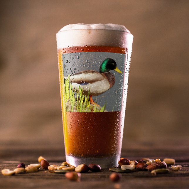 Verre Photo de la faune du Canard-de-Mallard à tête vert (In Situ Beer)