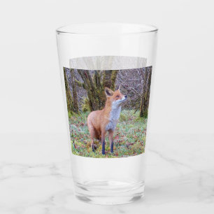 Verre Renard roux curieux levant les yeux Art animalier 