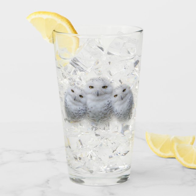 Verre Sagesse de rêve de la famille des Chouettes de nei (Devant glace)