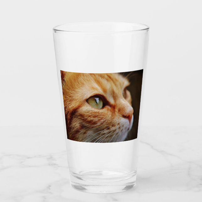 Verre Visage déterminé d'un chat de gingembre (Devant)