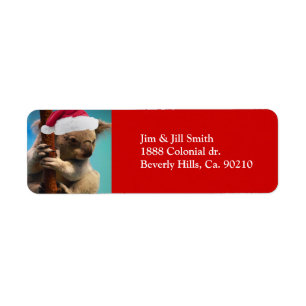 Vers le bas sous le koala de Noël