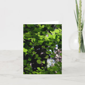 Vers le haut de dans la carte de note d'arbres