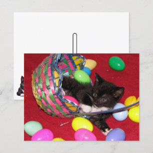Versace's Easter Wishes Cat /Kitten Holiday Postcard