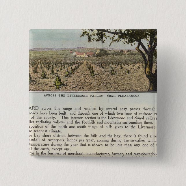 Verso Alameda County 2 Inch Square Button (Front)