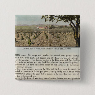 Verso Alameda County 2 Inch Square Button