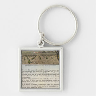 Verso Alameda County Keychain