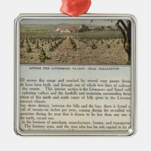 Verso Alameda County Metal Ornament