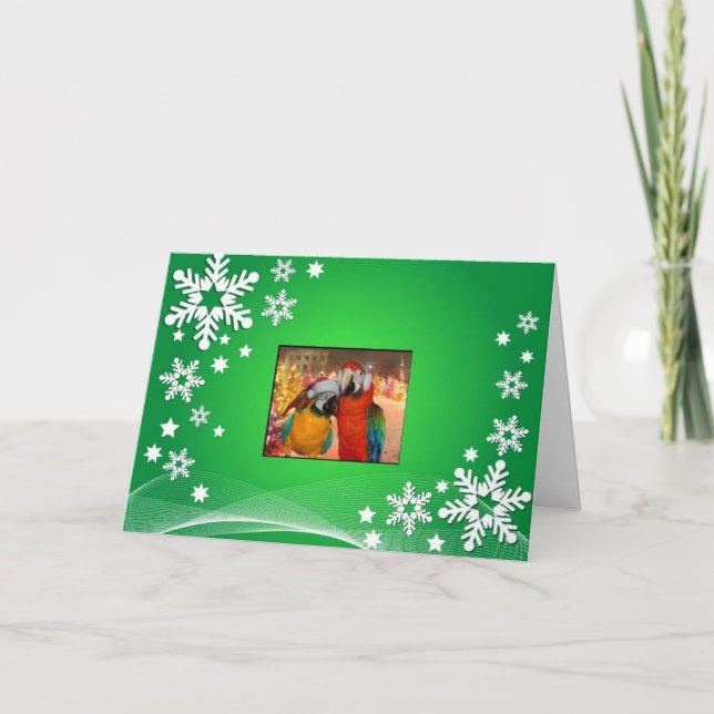 Vert de carte de perroquet (Devant)