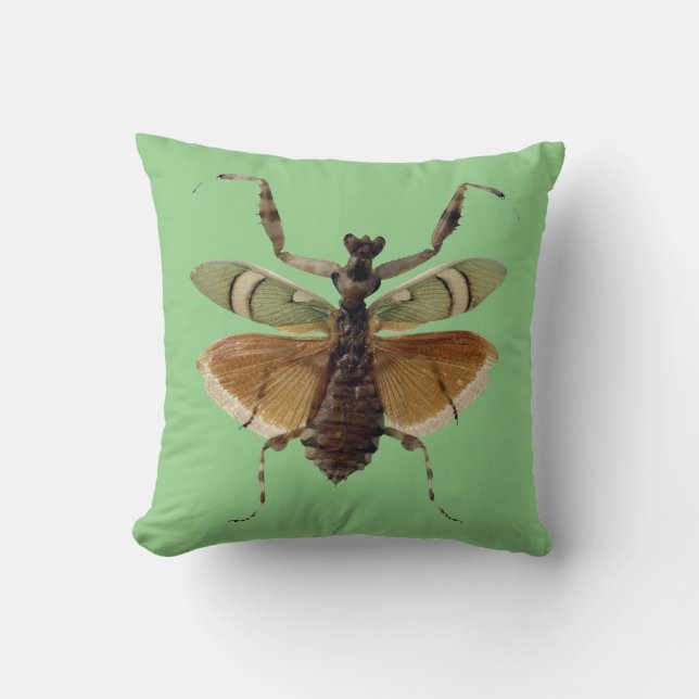 Vert de coussin d'insecte (Recto)