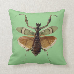 Vert de coussin d'insecte