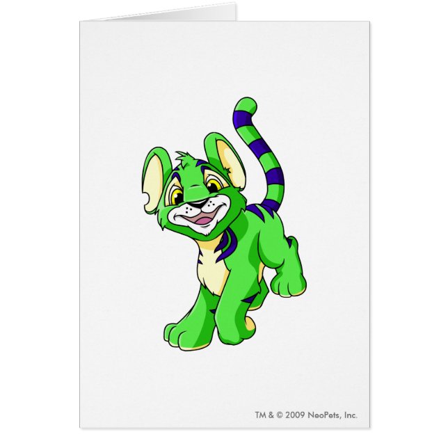 Vert de Kougra (Devant)