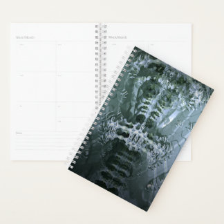 vertebra planner