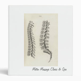 Vertebrae Drawing Binder