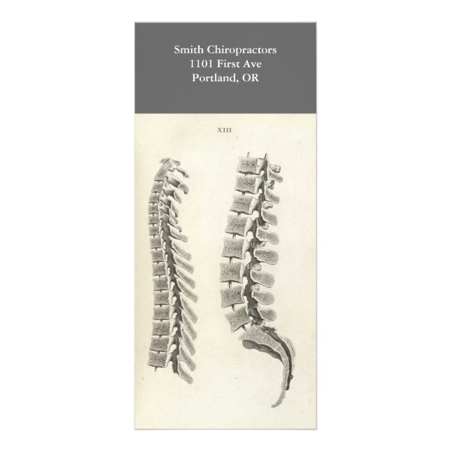 Vertebrae Drawing Rack Card (Front)