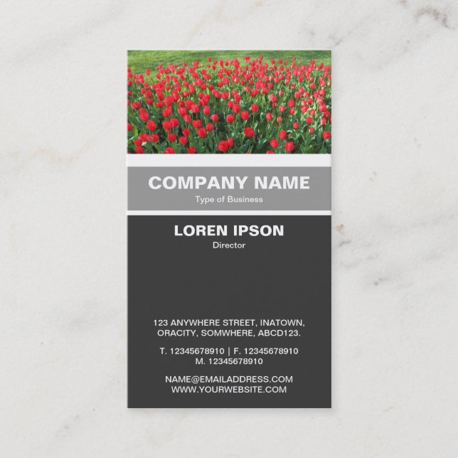 Vertical Banded - Bed of Red Tulips 01 Business Card (Front)
