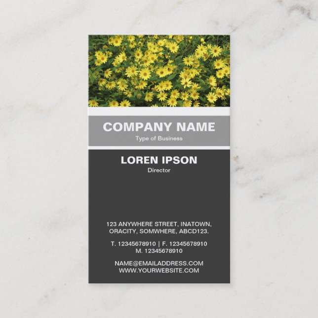 Vertical Banded - Yellow Daisies Business Card (Front)