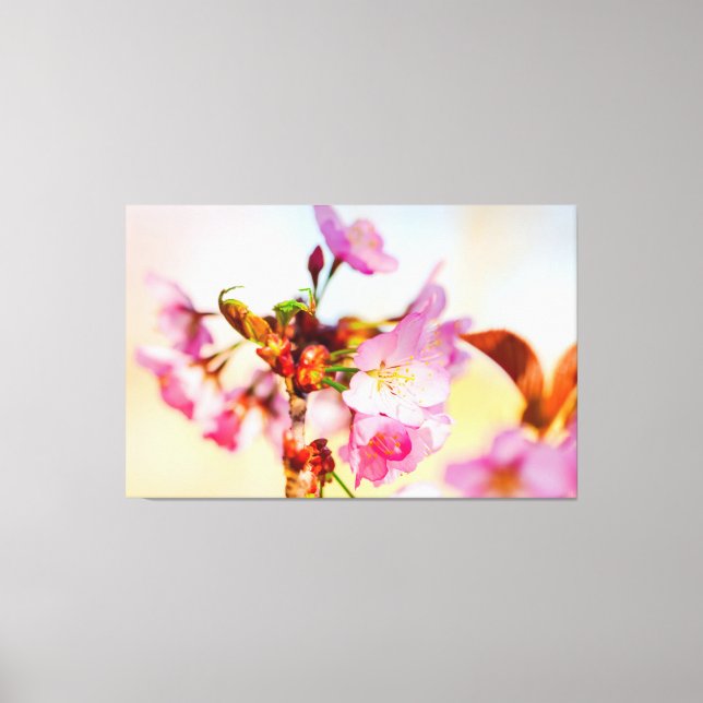 Vertical Cluster Of Sakura Flowers In The Garden Canvas Print (Front)