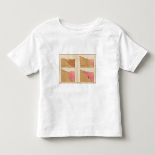 Vertical Cross Sections of the Lode, Utah shaft Toddler T-shirt