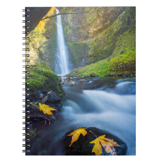 Vertical panorama view of Tunnel Falls Notebook (Front)