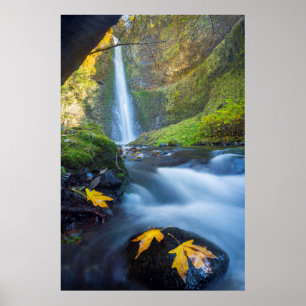 Vertical panorama view of Tunnel Falls Poster