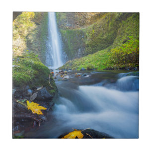 Vertical panorama view of Tunnel Falls Tile