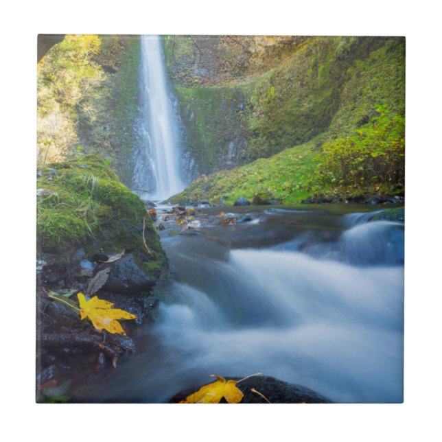 Vertical panorama view of Tunnel Falls Tile (Front)