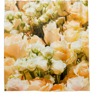 Vertical pattern of white roses. anniversary, back