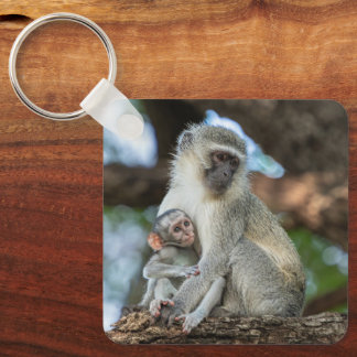 Vervet Monkey, Gentle Nature Keychain