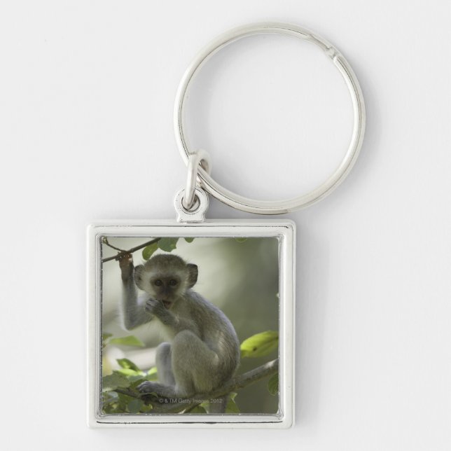 Vervet Monkey, Zimbabwe Keychain (Front)