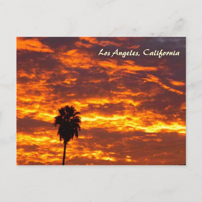 Very Beautiful Los Angeles Postcard! Postcard (Front)