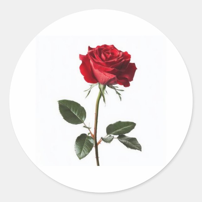 Very beautiful, 👍 nice design  classic round sticker (Front)