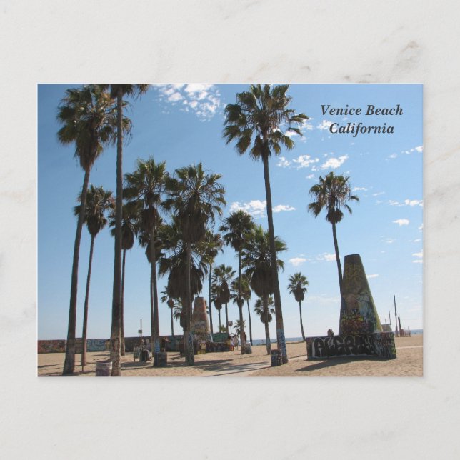 Very Beautiful Venice Beach Postcard! Postcard (Front)